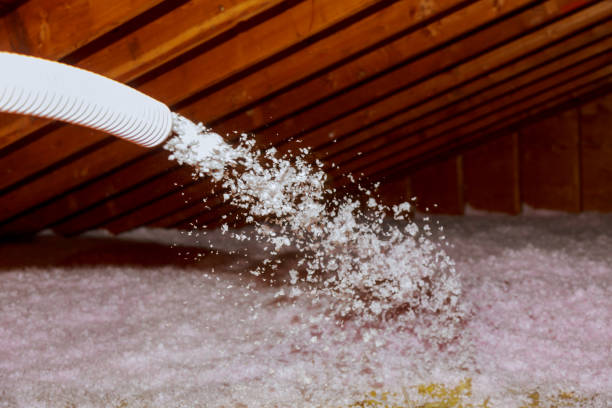 Best Blown-in Insulation  in Farmington, MO