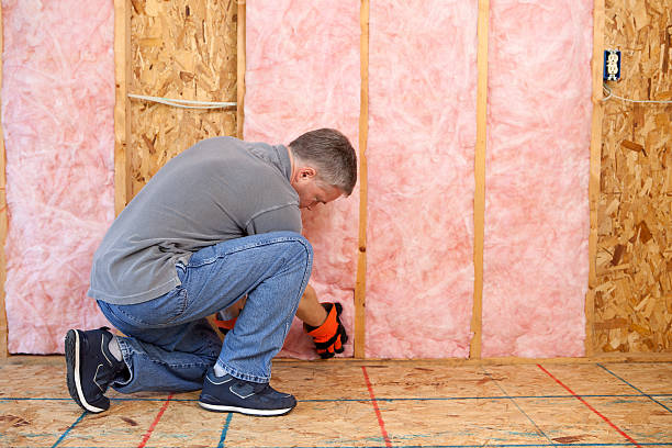 Best Insulation Repair Services  in Farmington, MO