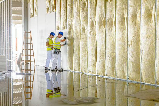 Best Wall Insulation Contractor  in Farmington, MO